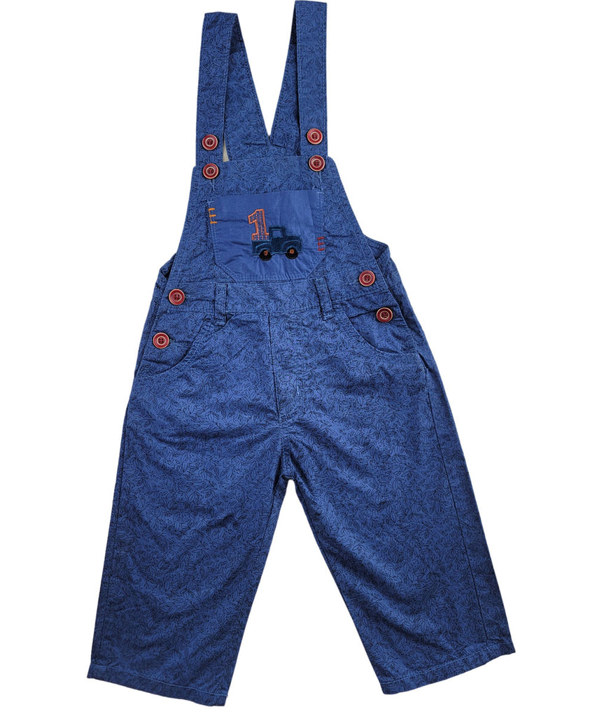 Fancy blue Dangree For Boys & Girls