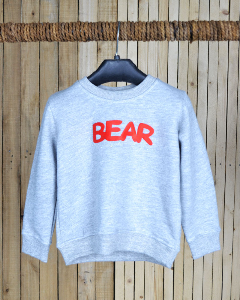 Fleece Sweatshirts For Kids (BEAR)